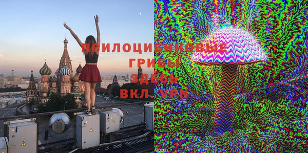 молекула духа Алексин