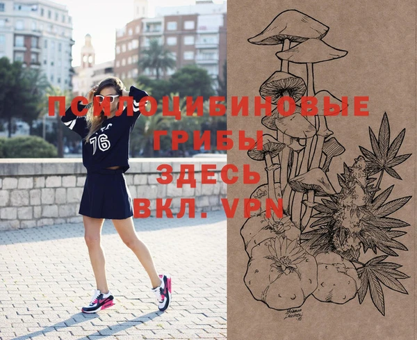 молекула духа Алексин