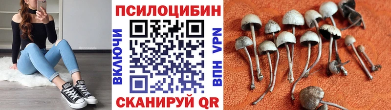 Псилоцибиновые грибы Psilocybe  как найти закладки  Карабаш 